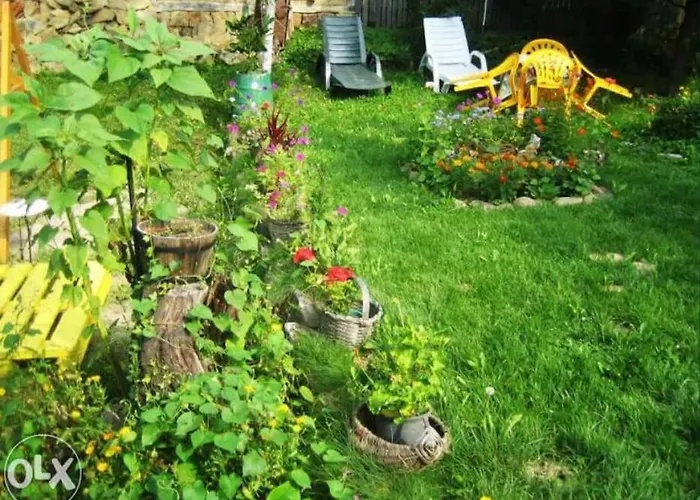 펜션 Granpa House Ruhovtsi