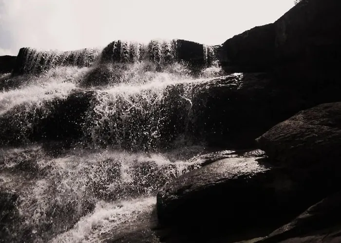 Granpa House * Ruhovtsi